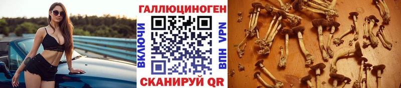 Псилоцибиновые грибы MAGIC MUSHROOMS  купить  сайты  Москва 